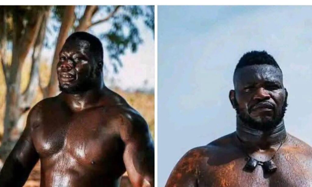 Lutte, Franc s’impose et bat Tapha Tine (vidéo)