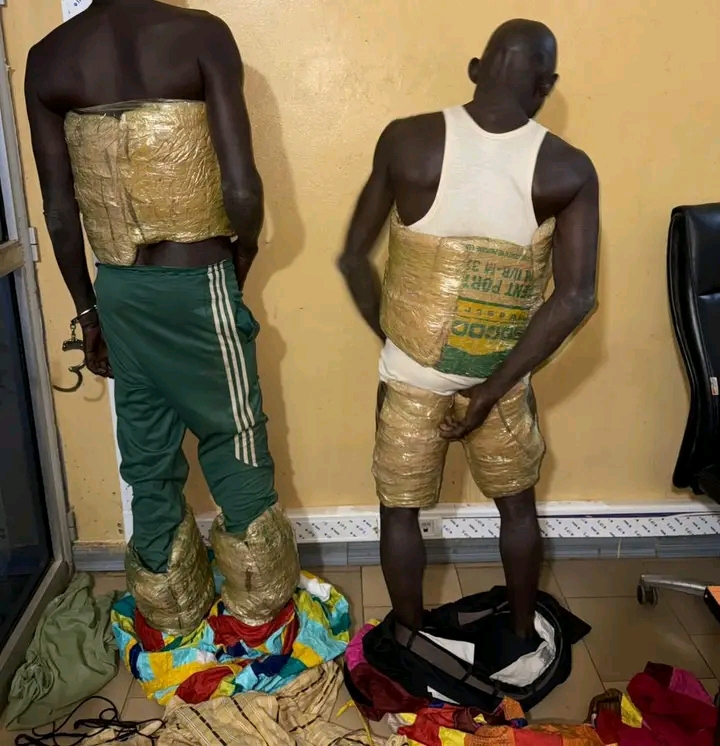 saisies record de médicaments et drogues prohibées par les Douanes