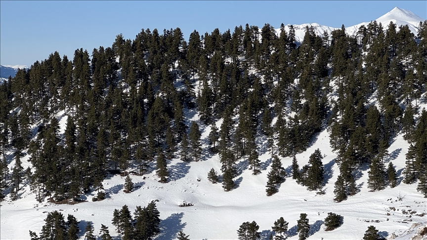 Le bilan s’alourdit à 25 morts et pousse Météo-France à décréter ce niveau d’alerte