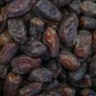 Le procédé utilisé pour masquer l’origine de 75% des dattes vendues en Europe