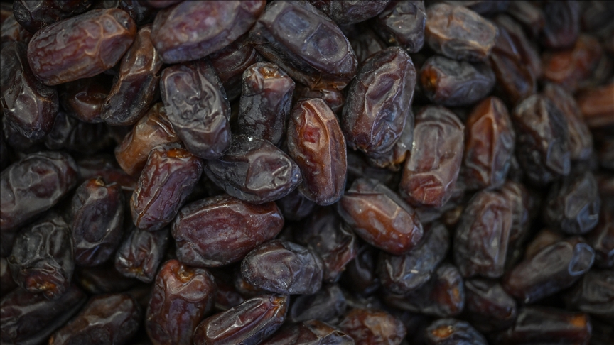 Le procédé utilisé pour masquer l’origine de 75% des dattes vendues en Europe