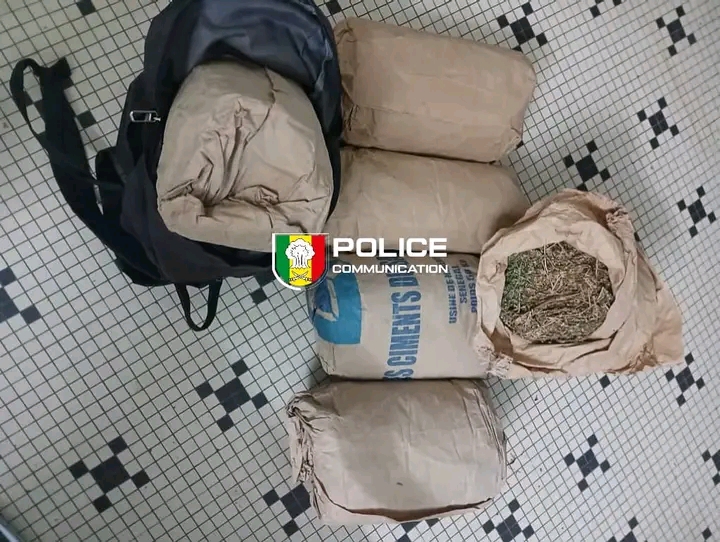 Saisie de 6 kg de chanvre indien sur l’axe Sindian-Bignona