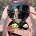 l’acteur POD soutenu par ses pairs pour un ultime hommage