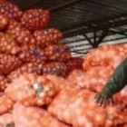 la décision ministérielle que les maraîchers des Niayes exigent sans délai