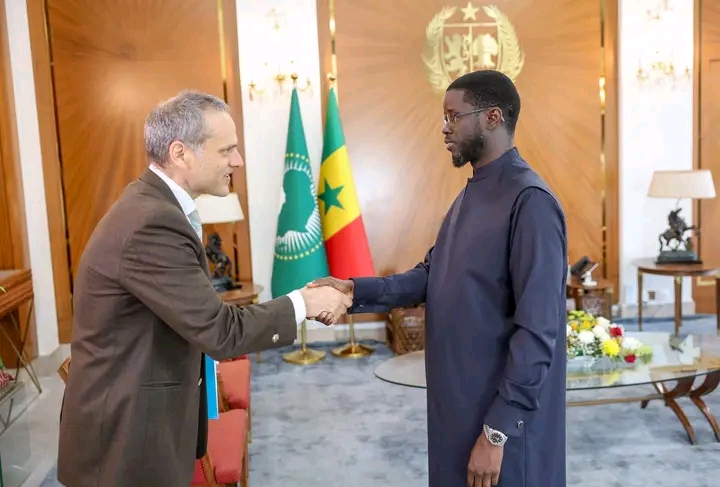 Bassirou Diomaye Faye reçoit le DG de TARANIS Energy for Africa