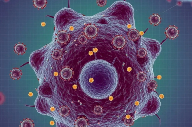 les mises au point du Cnls