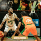 les Lions chutent dès le début des éliminatoires du Mondial 2027