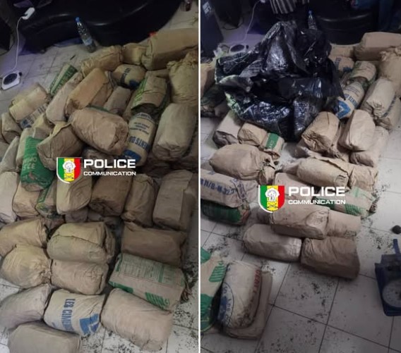 118 kg saisis, un suspect arrêté