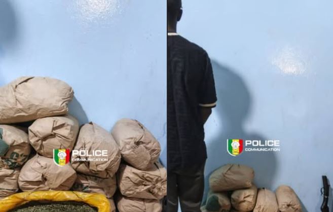 un individu interpellé pour trafic de chanvre indien et détention d’arme