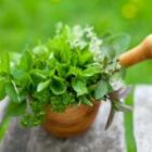 situation actuelle, différences entre les pays et perspectives d&rsquo;avenir