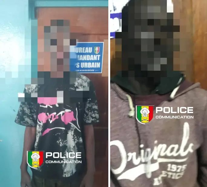 Démantèlement d’une bande de malfaiteurs …