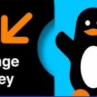 Nouvelles annonces autour des taxes, les transferts d&rsquo;argent en sursis