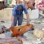 130 000 emplois et 1 549 milliards FCFA visés à l’horizon 2034, annonce Sonko