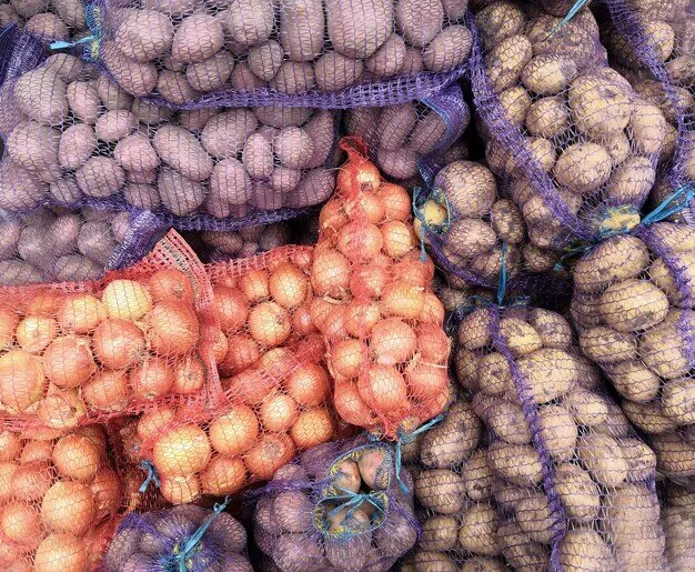 Suspension des ventes de pommes de terre pour les agrobusiness dès le 28 février