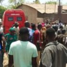 Une altercation violente entre deux bergers vire au drame