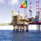 «Ça ne sert à rien, c’est une perte de temps», un expert explique