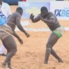 Talfa domine Amanèkh dans un combat éclair, regardez la chute (vidéo)