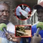 Toute la vérité sur Boy Sérère poignardé au garage