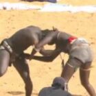 Stupeur à l’arène nationale : Bou Siteu bat Fils de Tigre par un KO monumental (vidéo)