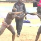 Arène nationale : C’est terminé entre Domou Dangou et Anaconda (vidéo)