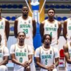 Les Lions à l&rsquo;assaut des qualifications-Mondial 2027