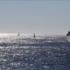 la décision d’urgence du Sri Lanka pour éviter un nouveau drame