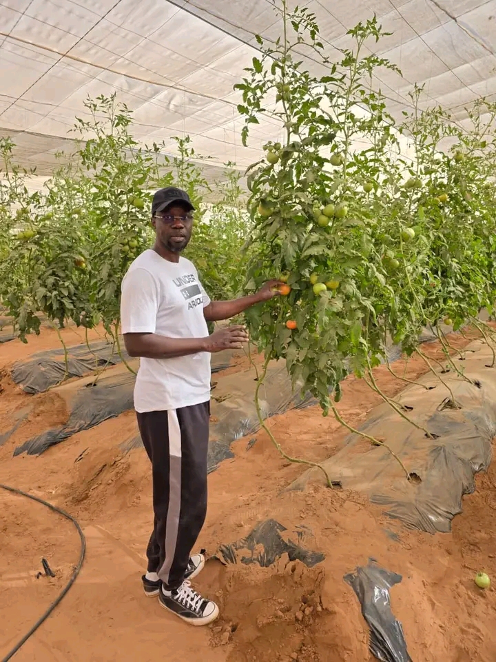 « Il n’y a rien de plus vrai que l’agriculture »