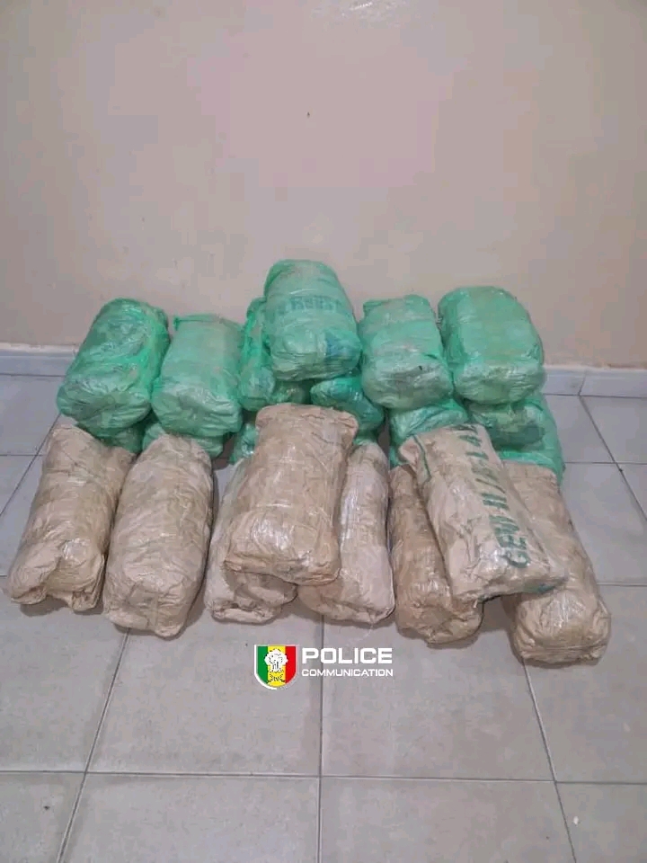 Saisie de 23 kg de chanvre indien par la BRS …