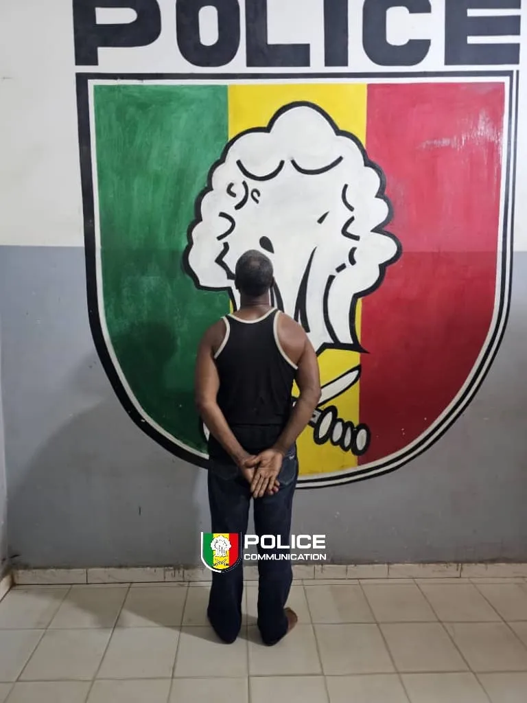 la perquisition qui a fait basculer la défense d’un commerçant