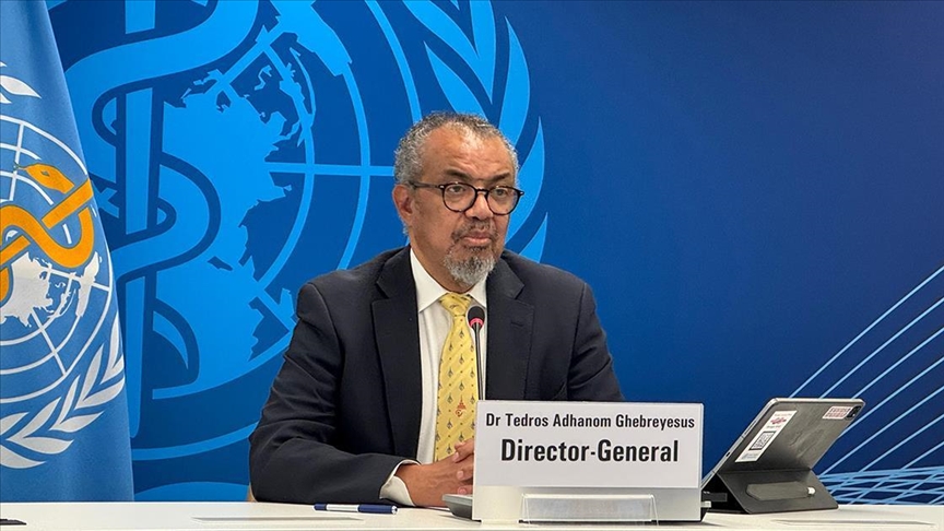 le patron de l’OMS rejette la thèse de l’erreur et applique cette qualification juridique aux frappes