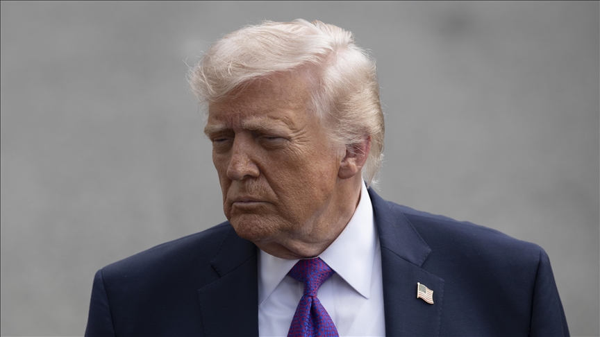 l’annonce de Donald Trump freinée par les réserves de ces deux alliés