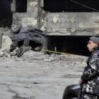 Israël délimite une nouvelle zone d’évacuation immédiate et ordonne le repli vers le nord