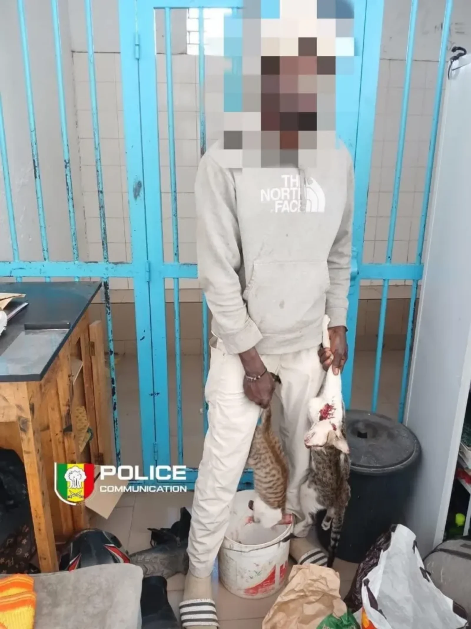 Arrêté sur la Corniche, un vendeur de brochettes de 26 ans avoue la nature exacte de sa marchandise