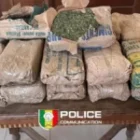 Un refus d’obtempérer mène à la saisie de 23 kg de chanvre, deux suspects en fuite