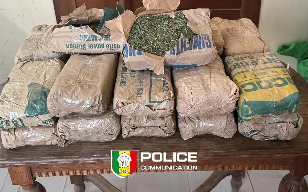 Un refus d’obtempérer mène à la saisie de 23 kg de chanvre, deux suspects en fuite