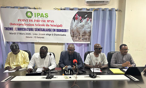 l’alerte d’un secteur stratégique face à une fraude massive qui coûte 4,8 milliards au Trésor