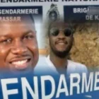 le profil des nouveaux inculpés porte le bilan des arrestations à un niveau inédit