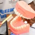 l’offensive imminente de la MSAE pour combler le vide dans les zones reculées