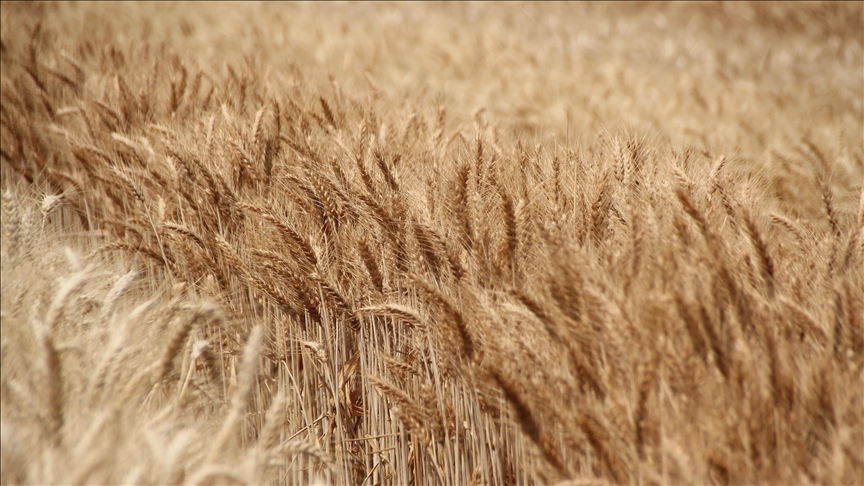 La surexposition à ce métal cancérigène pousse l’agence sanitaire en France à exiger des mesures immédiates