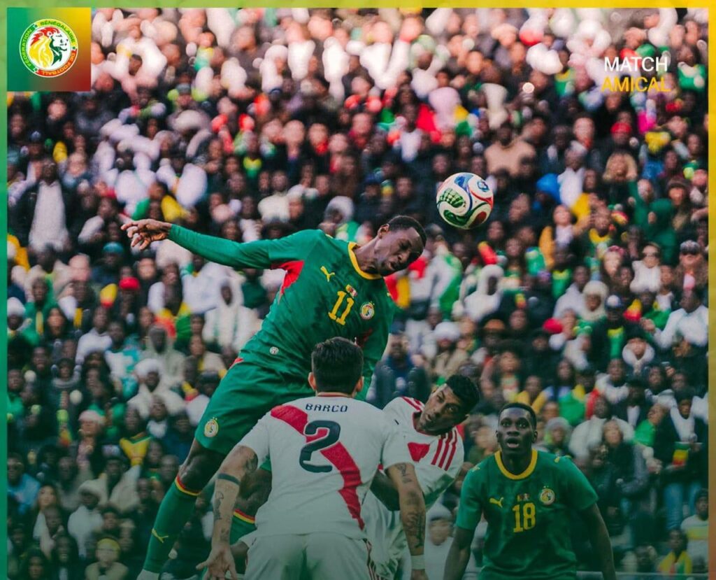 le duo offensif qui a assuré le succès des nouveaux champions d’Afrique