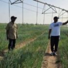 Après son message sur l’agriculture, Mabouba Diagne dévoile les coulisses de la visite de Sonko