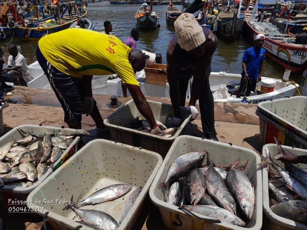 l’ICCAT lève l’identification du Sénégal après des réformes dans le secteur