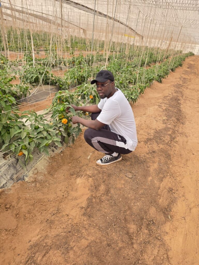 Après l’Assemblée de Diomaye Président, Ousmane Sonko réapparaît et fait un post énigmatique.