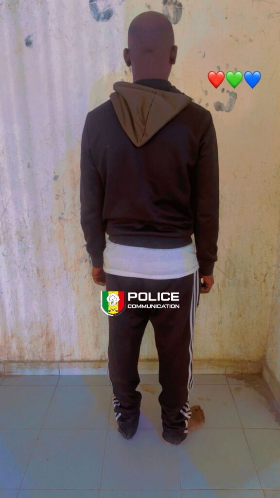 Un escroc au visa arrêté, plus de 160 millions FCFA soutirés