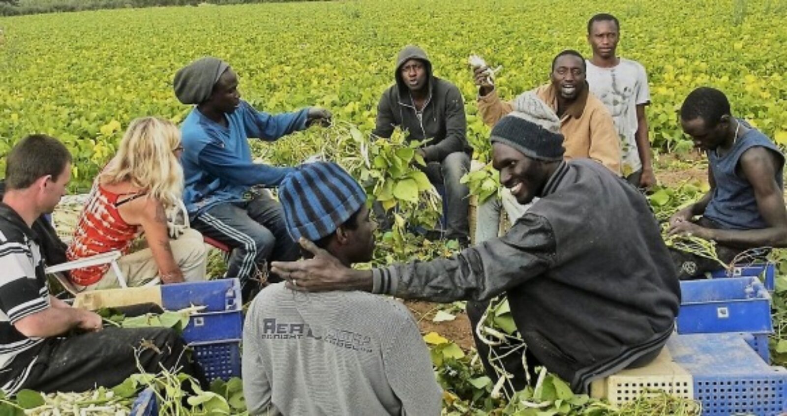 le Sénégal lance le recrutement d’ouvriers agricoles pour 2026