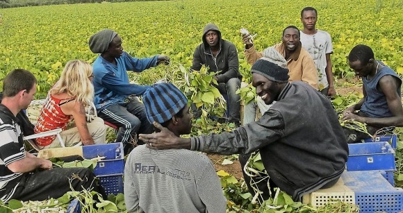 le Sénégal lance le recrutement d’ouvriers agricoles pour 2026