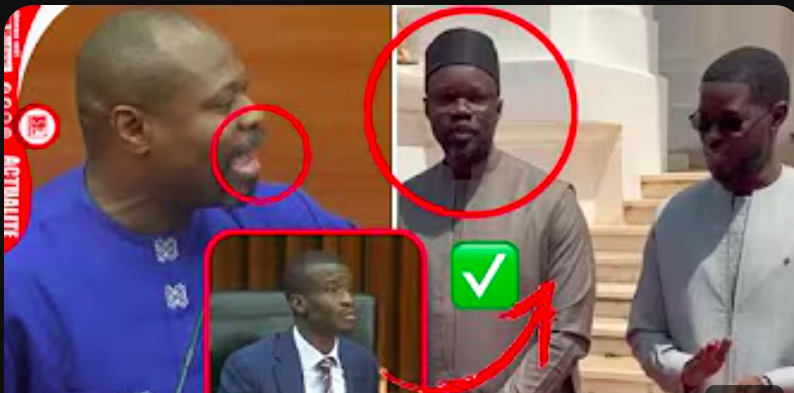 « Au Conseil des ministres, dites à Diomaye que Sonko est le seul chef » (vidéo)