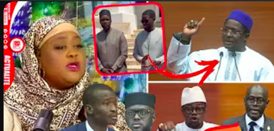 Mamy Samb dit ses vérités — « Je n’ai pas aimé » et félicite El Malick et Me Bamba Cissé (vidéo)