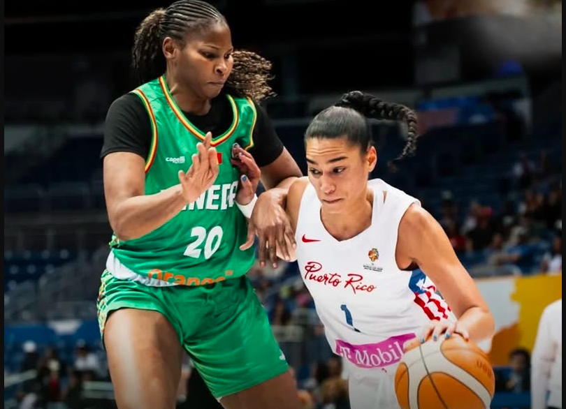 les lionnes battues par Porto Rico, leurs chances se compliquent