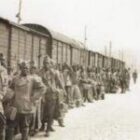 La France condamnée pour avoir dissimulé les circonstances de la mort d’un tirailleur